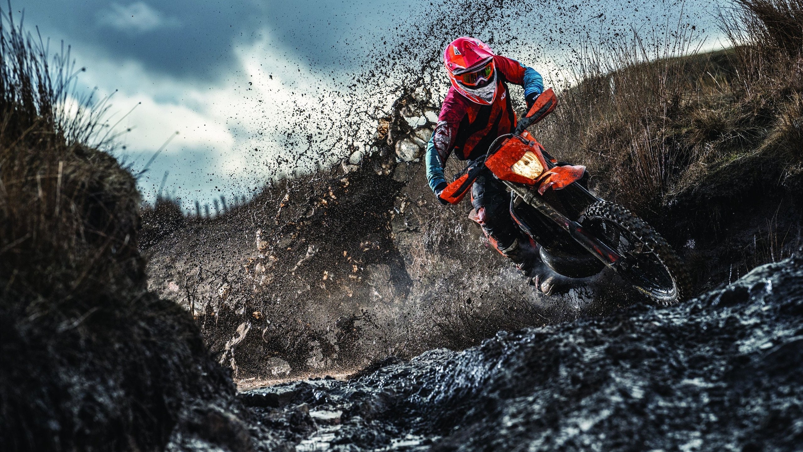 kaiyun体育app-混合接力赛场中立代表队B奋力拼搏，混合接力赛怎么安排